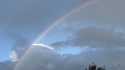 7163c7e3-fb57-4d76-90fd-9afecce533cc