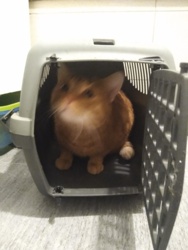 d146df66-0332-4724-88ef-1ad6b63dd802