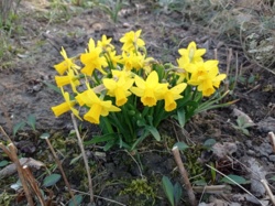 cb314938-6340-45ff-aac4-3bcd58bfc0d9