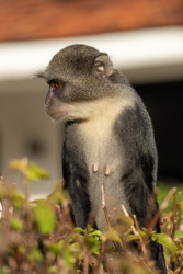 f9831886-de4d-43e1-9f9c-fcb623fb3b73