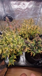 67841406-d455-48ea-a4b6-3f26ddbdcd43