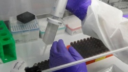 Brytyjczyk uniewinniony po 38 latach dzięki DNA