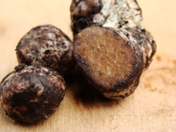 57460dc2-bd22-4d5d-8a37-6f80b8fb376f