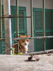 0948112b-4bb4-4704-800f-4e96470dd113