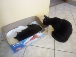 fe59c20a-8783-4d53-aec7-840d389e5a2c