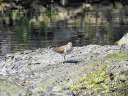 92d36896-79af-40c5-b90f-ede57db3a4bd