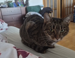 2a513ffb-93fa-47dd-80e8-656169c614fc