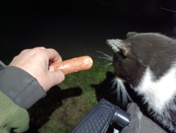 fcac6e96-69f1-445f-83f6-d14a7c9ecd2d