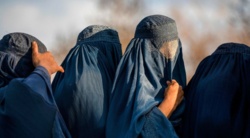 Feminizm, terroryzm i nadzieja na zmiany. Prof. Katarzyna Pachniak o islamie