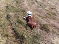 2fe5248e-9dab-4985-845d-8379773b4899