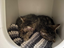 effe53b6-428a-4f99-b0ac-1ce791a826ff