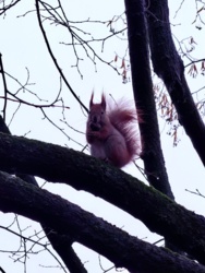 2568e05f-f2c2-4022-a9ec-3385f27f99a4