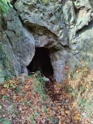 4a20fce4-aadd-4241-9b62-e87720289a7f