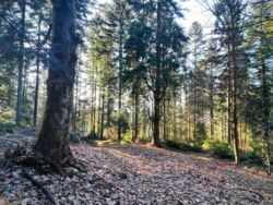 db3611c5-999e-47f6-9bdf-8442ed4843e0