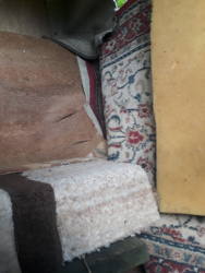 0f4ed7c2-71f0-438e-8838-d7a625d00613