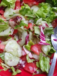 7f0e0377-c910-4a21-a049-05e1493b02b9