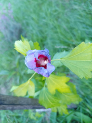 22e29600-f1b8-4a4c-8c4b-a04e1485c902