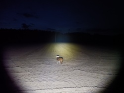 baeb8fae-e810-462c-b70d-453ae48f8233