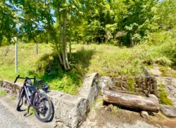 d8634c15-c365-461c-afc2-dbf47fb452ad