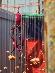 67603033-2a89-4a88-8af8-aa6a8aaa4b6f