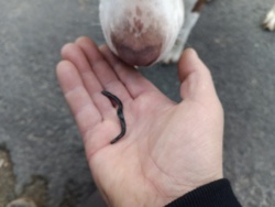 c5620e3d-bcb0-4ff2-9060-7ae62bece2eb