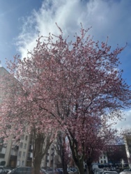 b84a09ac-dde8-4b6d-94ba-f756f8876b96