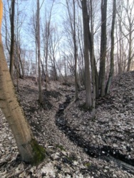 df950562-e721-444a-8c5e-d33cd4c8e22d