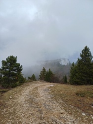 5482f8ff-5e2b-47bd-adb2-3da491f64c9d