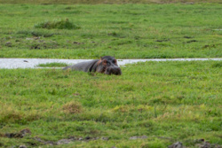 090fb1b3-52d8-4668-bd6b-86e8daae30c7