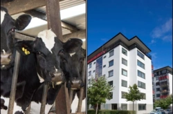 Blok przy oborze? Protest w sprawie rolnika z Łomży