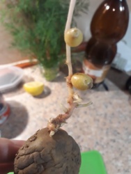 a614c729-cb29-43ad-a7e1-352924889a43