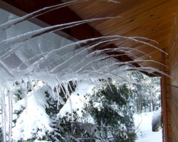 f9ed5c2b-8353-481a-a32e-715a4098b7dc