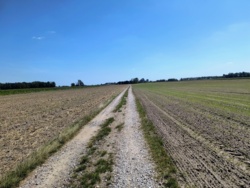 42989462-9504-4685-a6aa-9803abf40d26