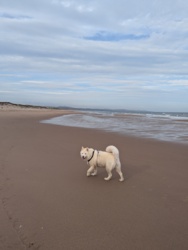 fd86b344-1772-4546-be7c-0c1859b81eaf