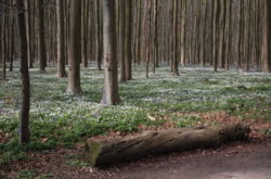 d9e42c81-ef51-454e-a841-758372a91f9d