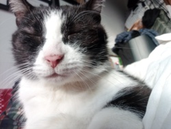 c95510bb-d39e-44ca-b419-d9e267ab9523