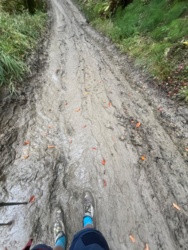 07cef1b5-eb34-474f-acbf-b1e3db0738ce