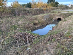 ea58dad2-fa59-4b95-a45a-c70ea44d43a5