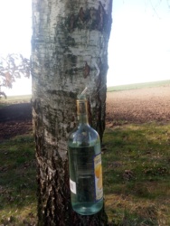 68e3ce32-933e-48df-99cc-49093a8d7c74