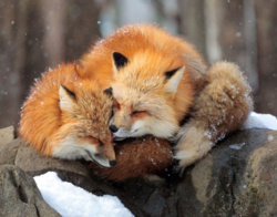 2b976fbf-a014-495f-9eb5-f73c4f9642af