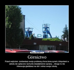 c65aa3b9-e15a-4b9f-aabb-cb603e0d9d52