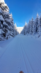 42e56cf9-4c27-41a5-a37b-6d50f81541fe