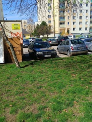 8ad93c15-c388-4f51-a158-6cbaa9d78a90