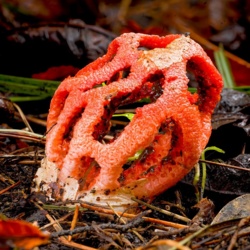 c4d612dd-567c-460b-bbda-001f3a8ec392