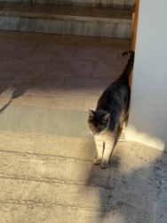 2c03df42-cb72-478a-8a88-f62dd93f5cbe