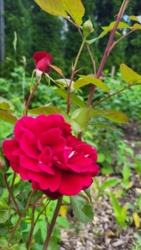 8ae9959f-0229-4236-9ef3-e0d819e5ccf6