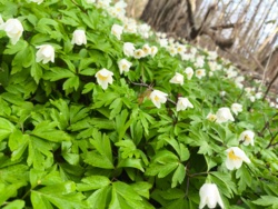 8396db64-f95c-4603-b04c-0c2503f3029a