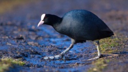 feb4cfb3-1d59-458c-9067-3daa2ee5ef05