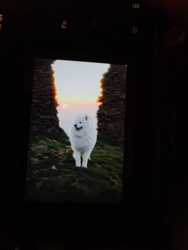 a43d6e30-8bb3-49e9-abe3-7e068cc8c938