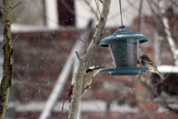 e579ebdc-9297-4896-a12b-44d25071e461